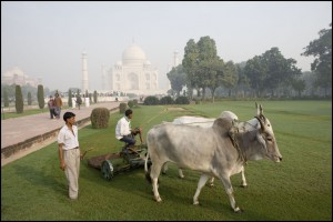 Chine Inde 3